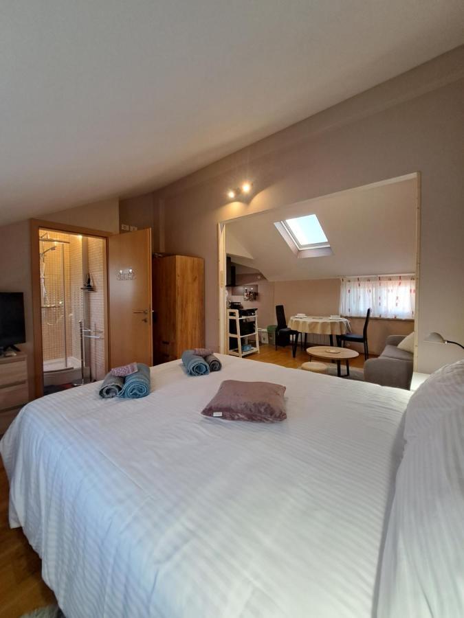 Casa Antonio With Swimming Pool Apartment Novigrad Istria Exterior foto